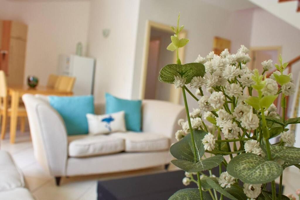 Apartamento T3 Encantador Com Piscina Wifi E Perto De Praia Santa Maria Exteriér fotografie
